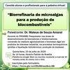 Palestra virtual Proamb - Dr. Mateus S. Amaral